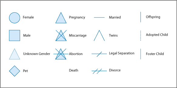 Basic Genogram Example
